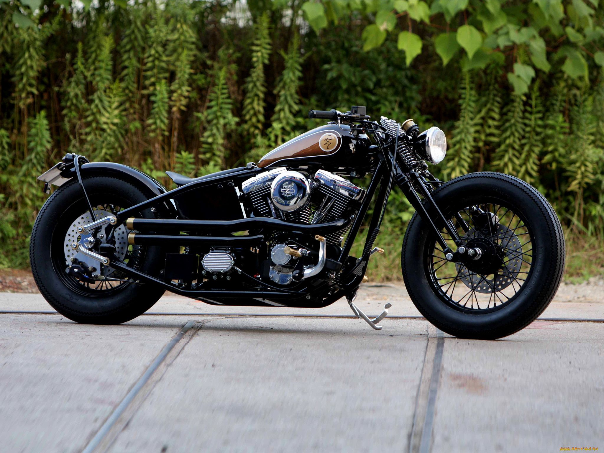 , customs, moto